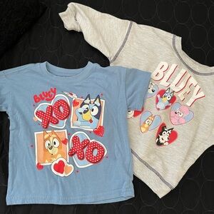 Kids' Blue and Gray Shirts Set 2T